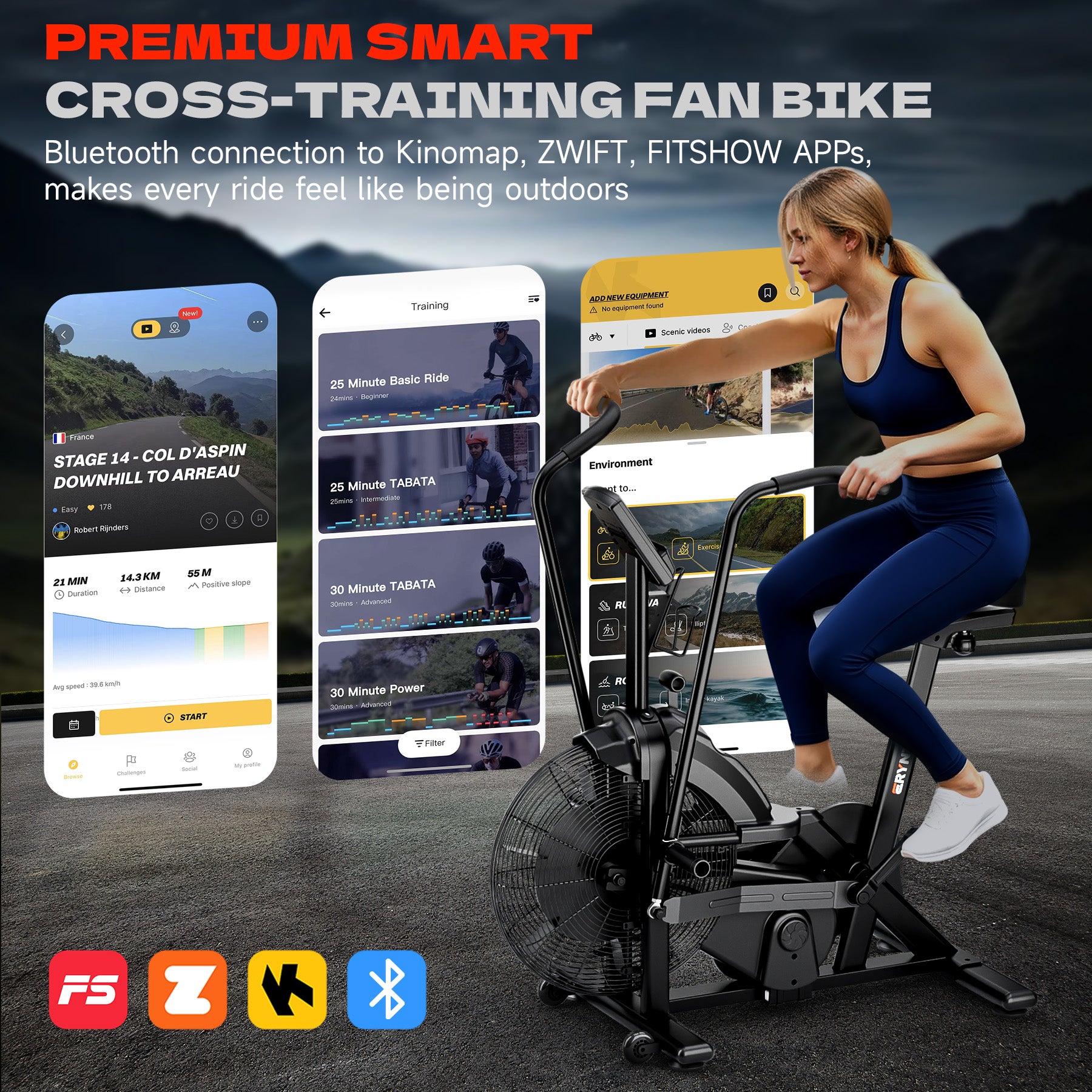 ERYNTIX K29680 Dual-Resistance Air Bike